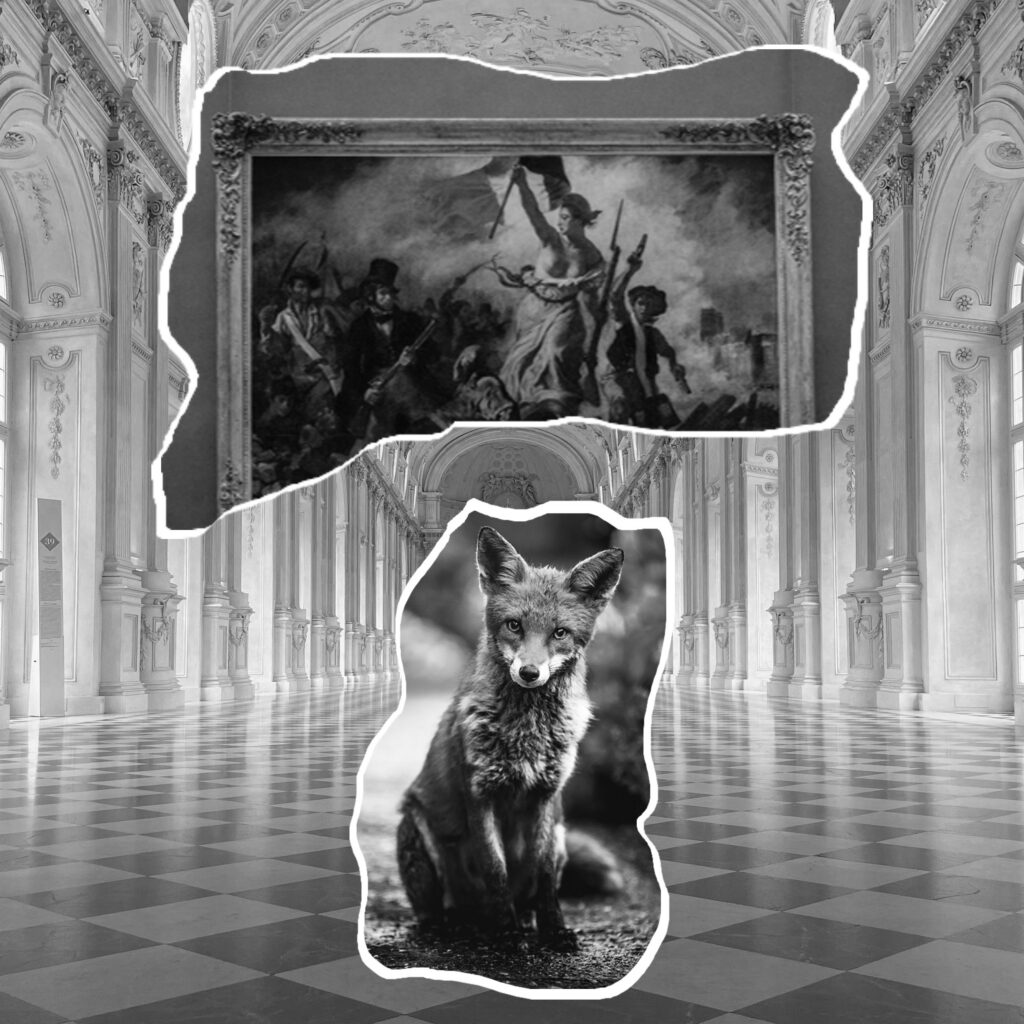 Agence spécialisée en marketing digital, stratégie et communication