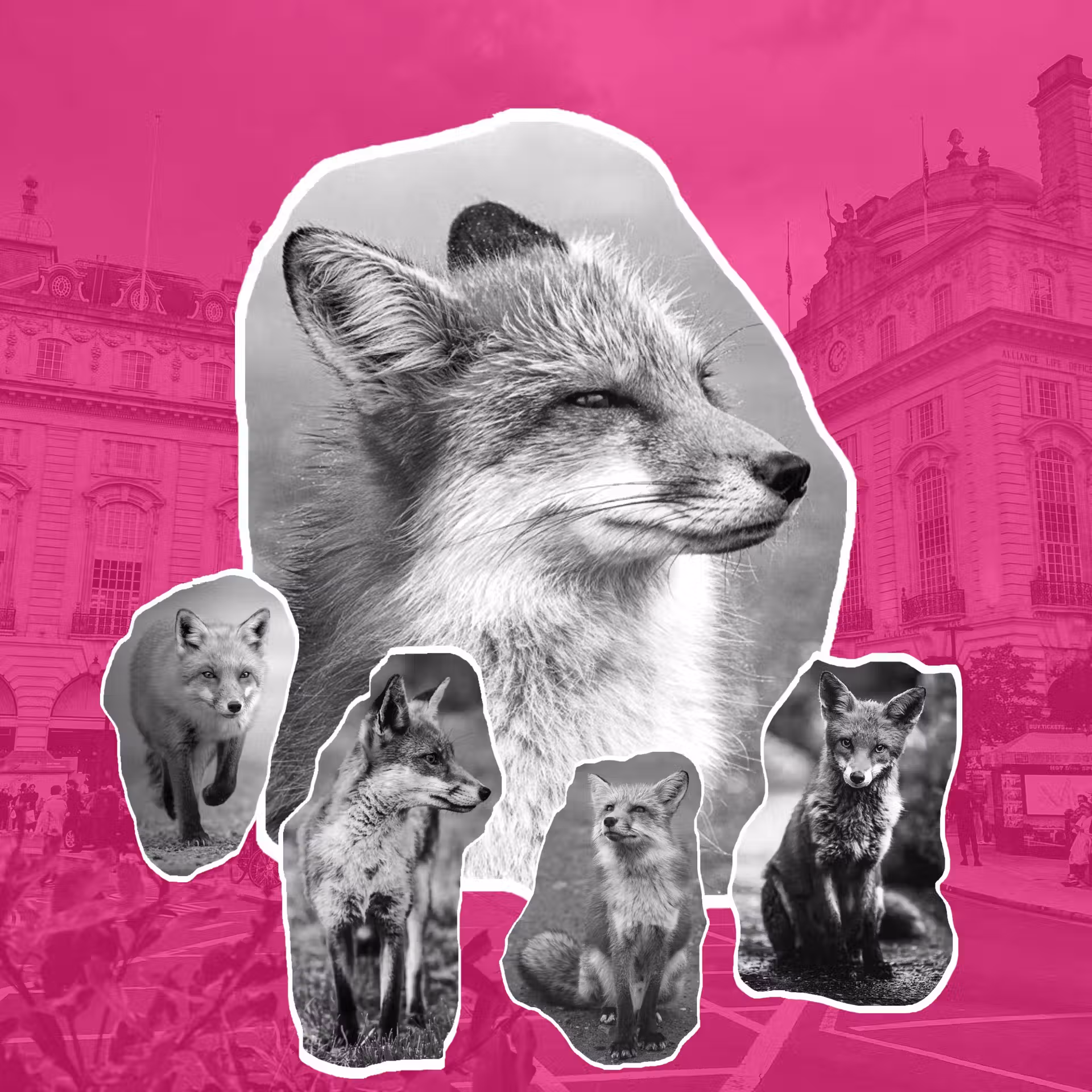Équipe de consultants marketing digital au travail
