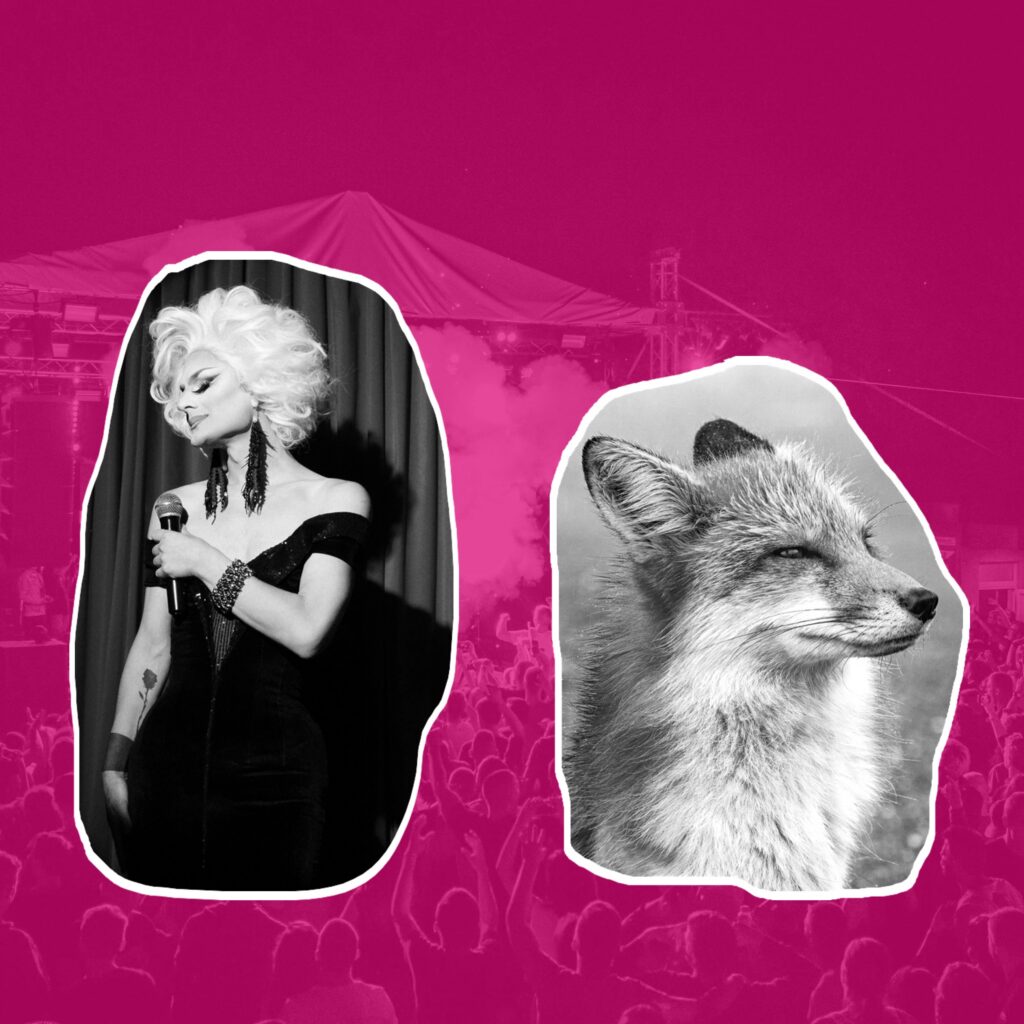 Agence marketing digital