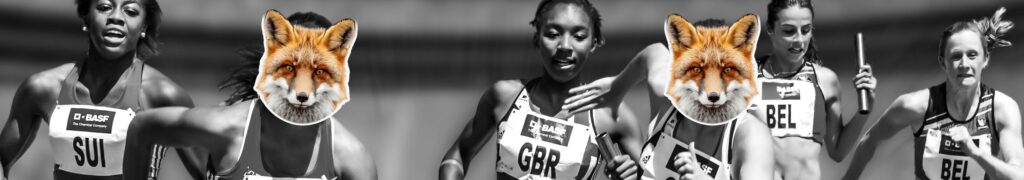 expertise marketing, stratégie, crm, communication, marque, accompagnement