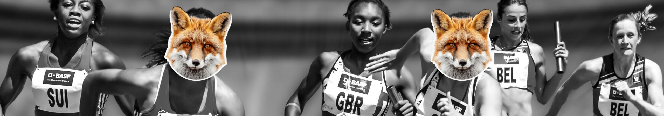 expertise marketing, stratégie, crm, communication, marque, accompagnement