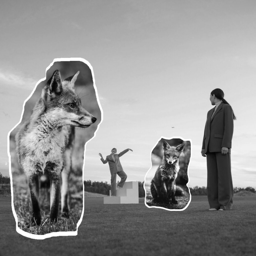 savoir faire, accompagnement et conseil des clients, via notre expertise en marketing et stratégie.