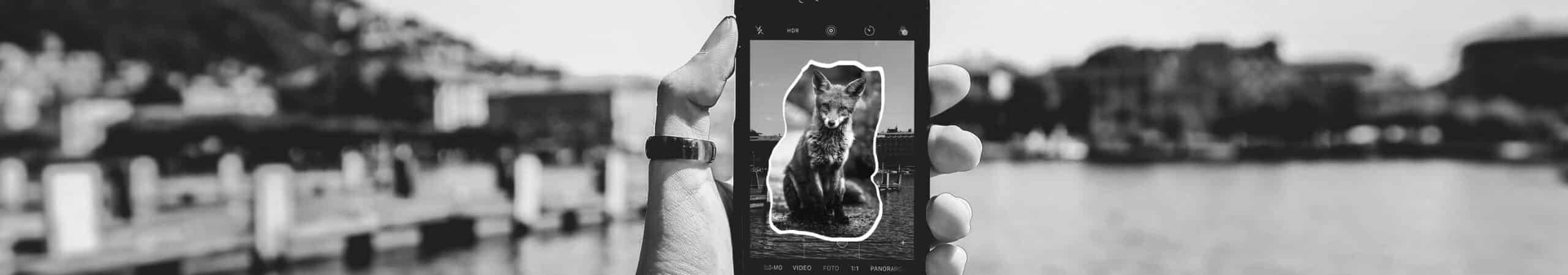 Acquisition digitale et performance