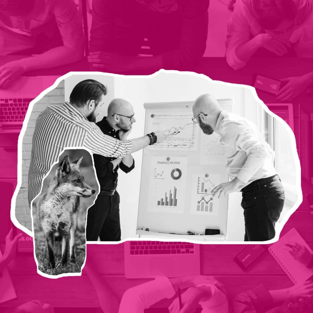 Etude de données clients et de la fidélisation dans le cadre d'un audit CRM, avec Renard Rose & Co