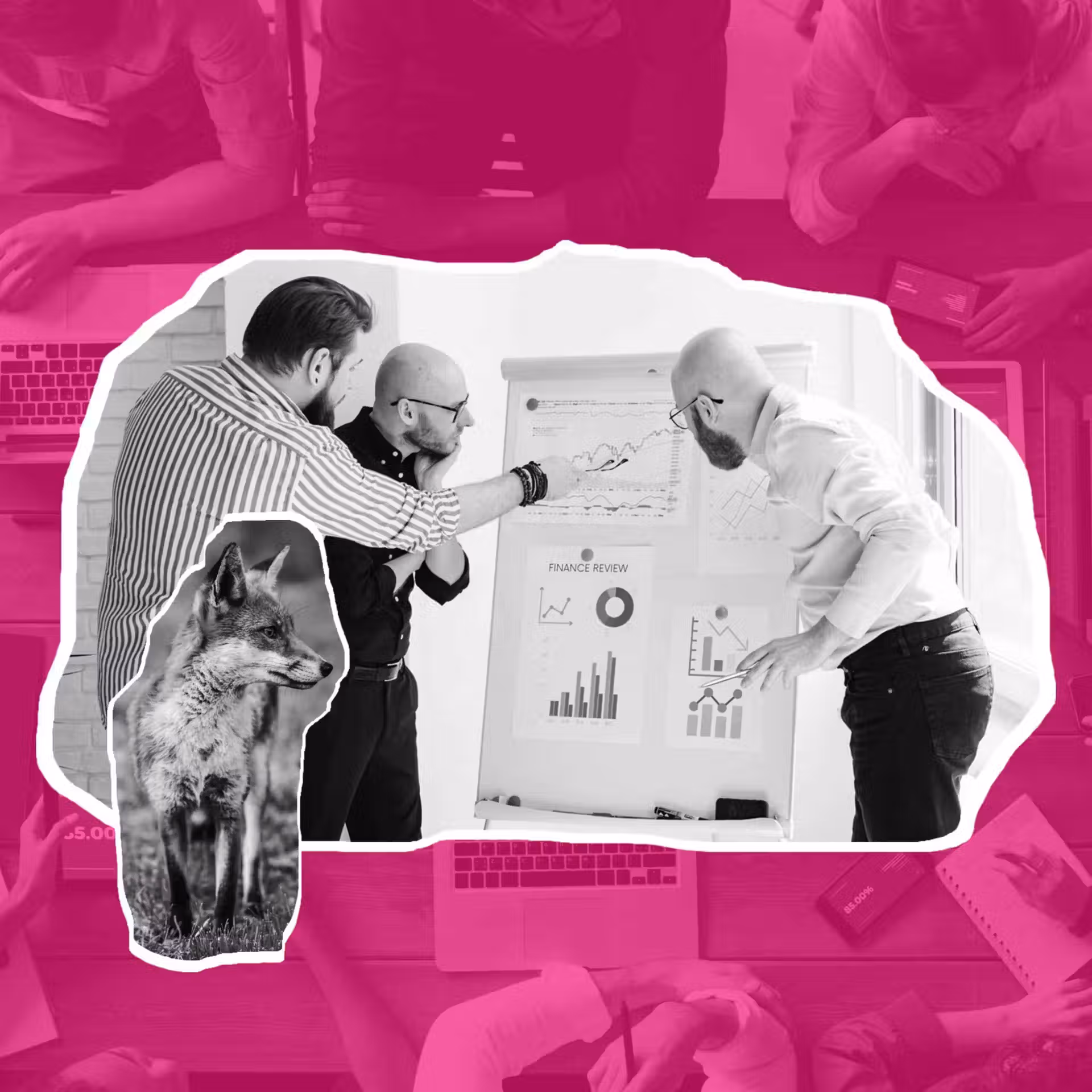 Etude de données clients et de la fidélisation dans le cadre d'un audit CRM, avec Renard Rose & Co