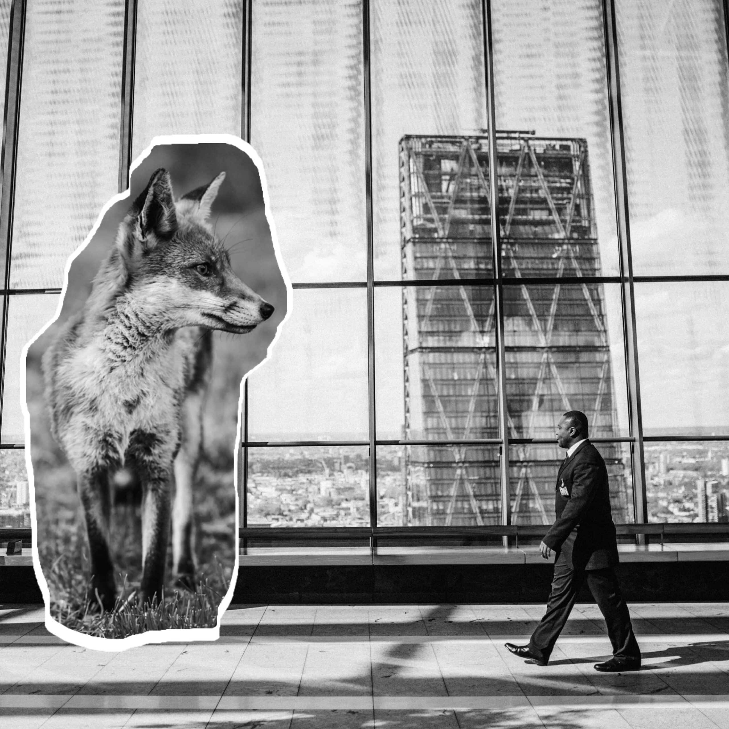 Réflexion marketing pour une ETI