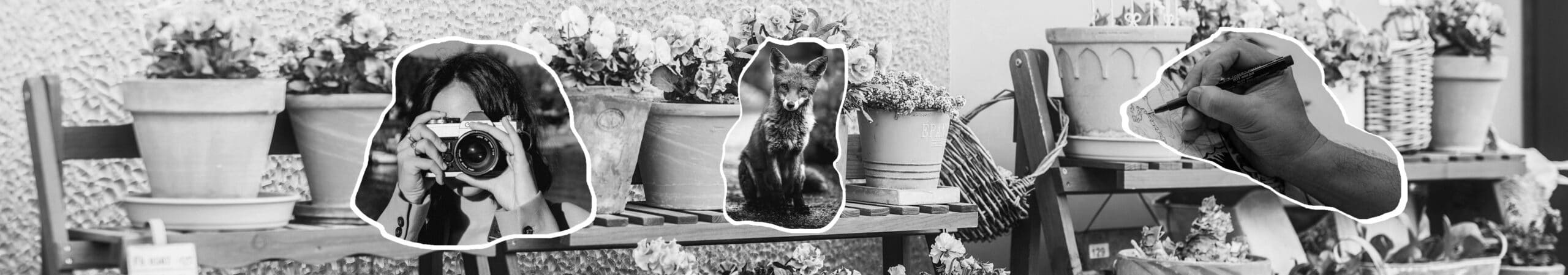 Identité de marque et la création visuelle par RenardRose & Co