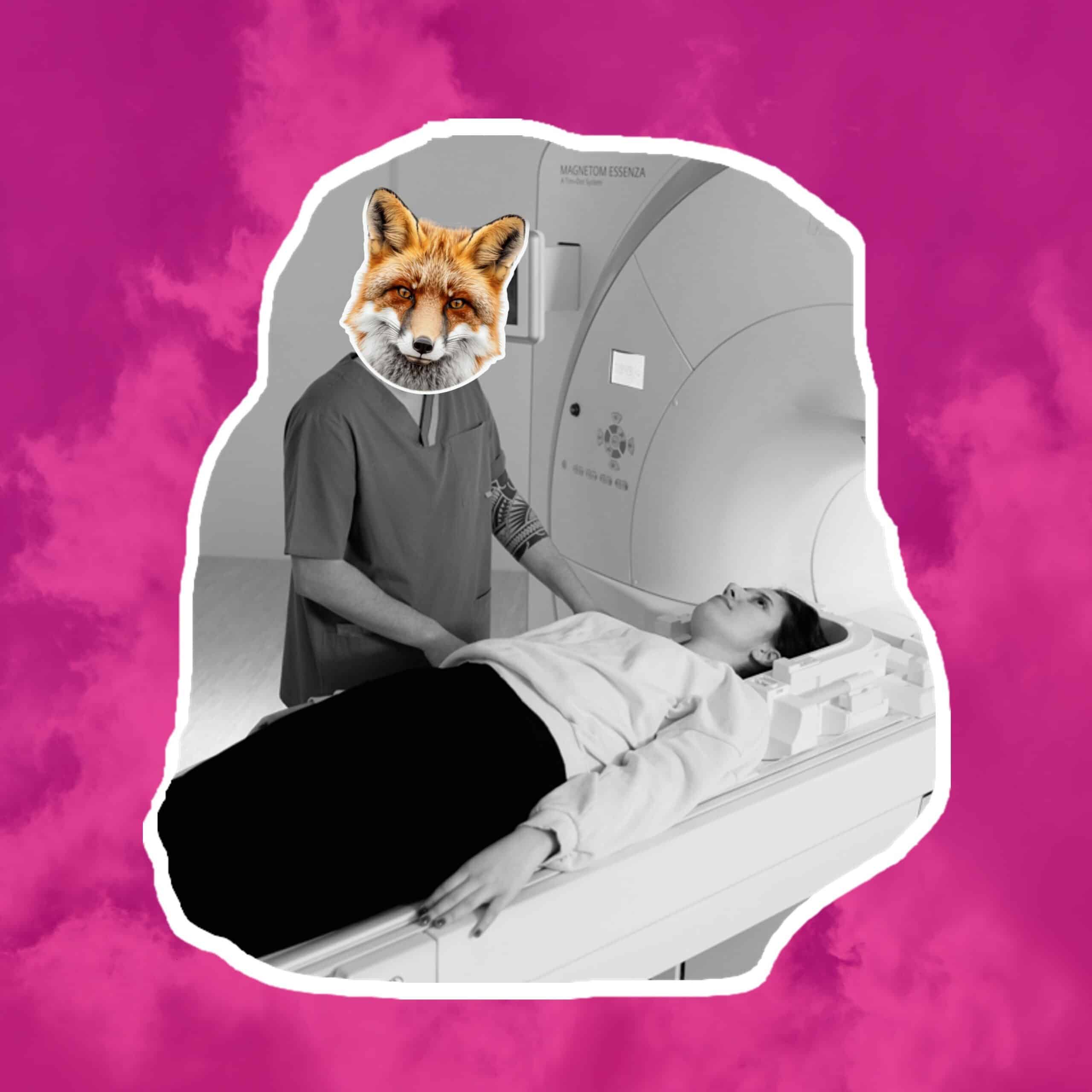 PME cliente d'une agence de marketing digital