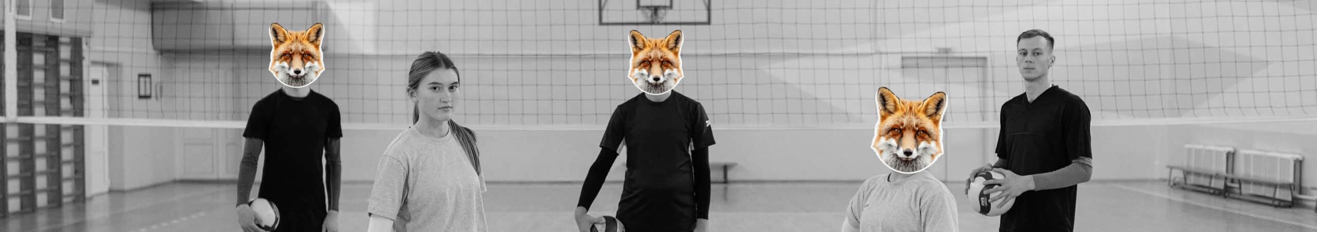 Accompagnement marketing par RenardRose & Co