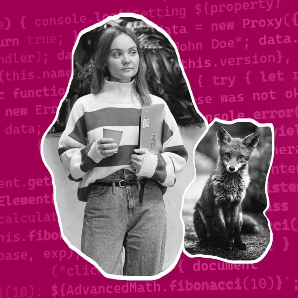 RenardRose & Co propose la création de site web vitrine et l'accompagnament dans la performance digitale
