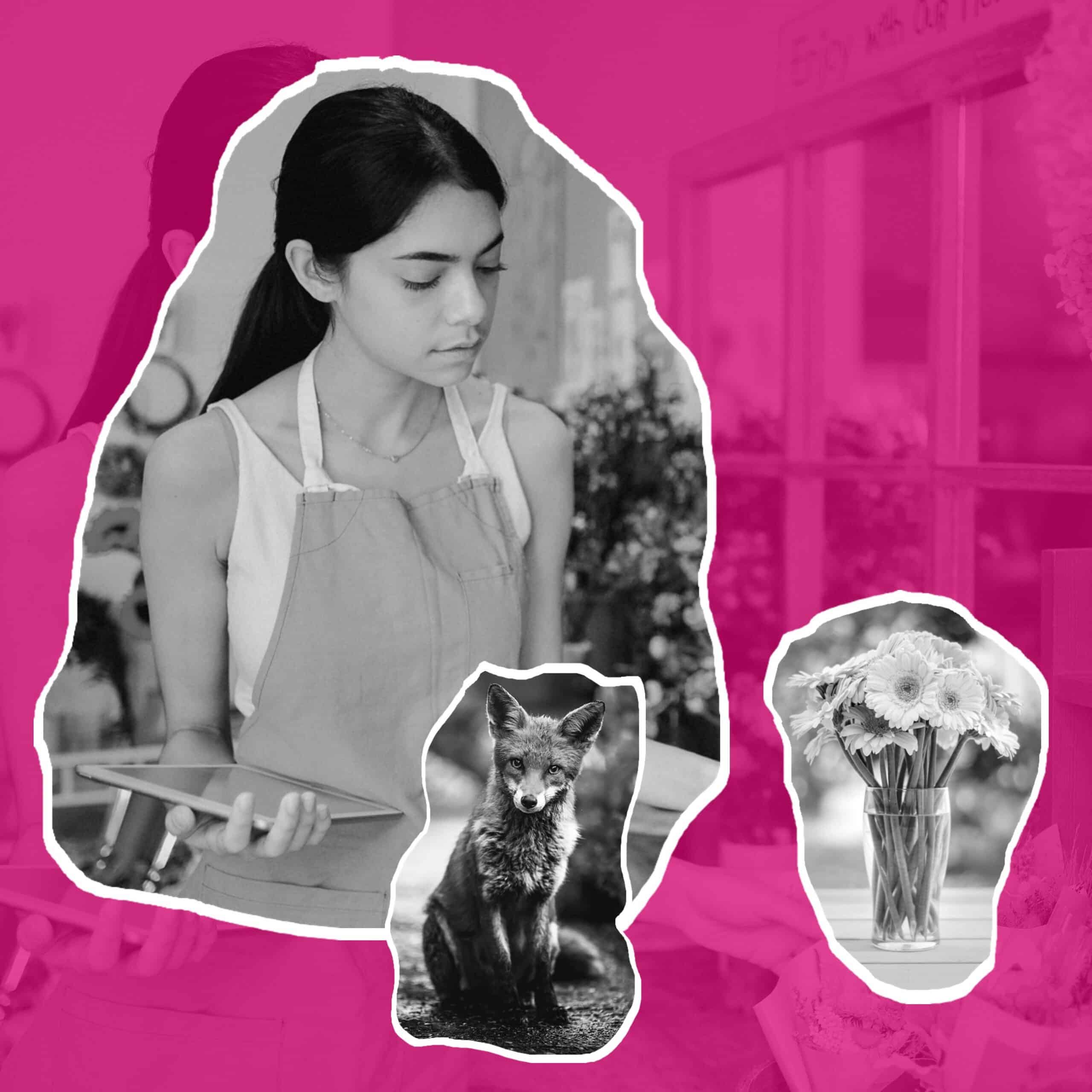 TPE cliente d'une agence de marketing digital