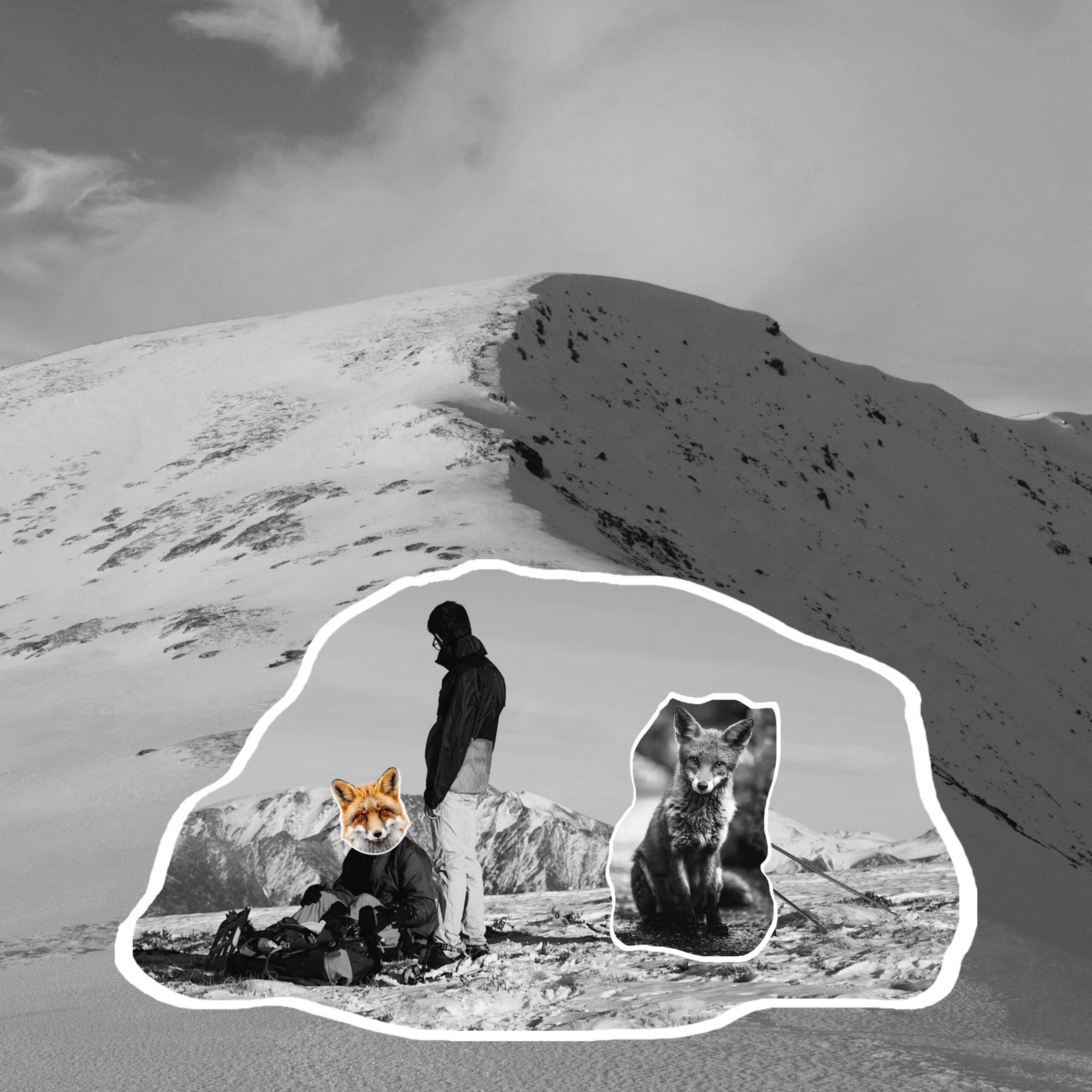 agence marketing digital pour tpe, pme, ETI et grands groupes.