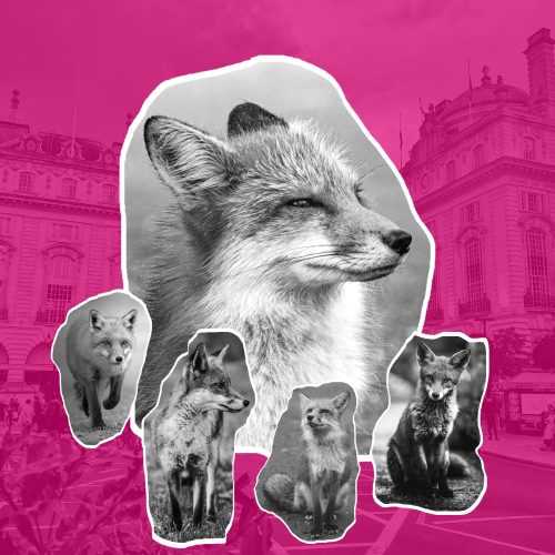 Équipe de consultants marketing digital au travail