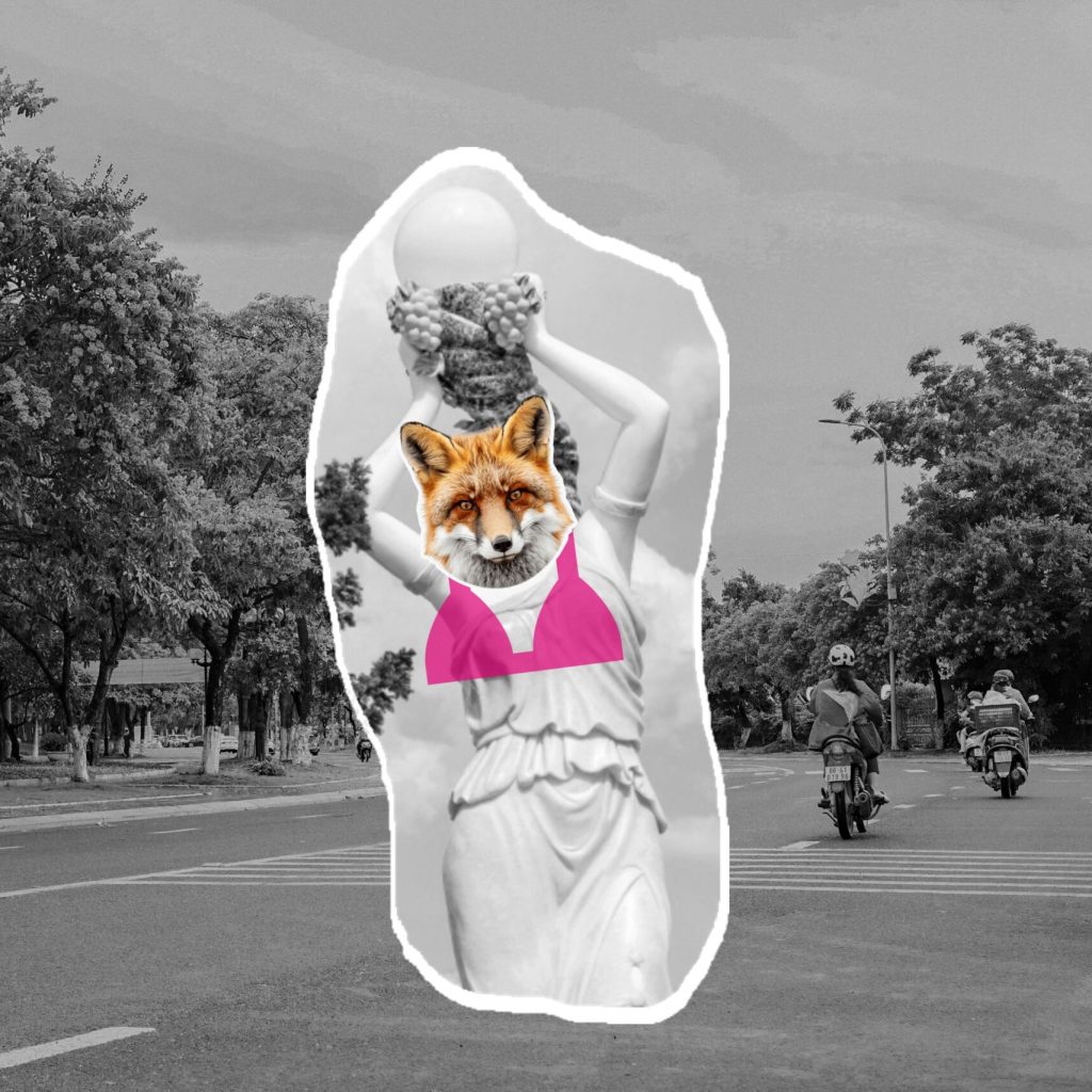 Contactez l'agence RenardRose & Co, experte en stratégie, marketing et communication.