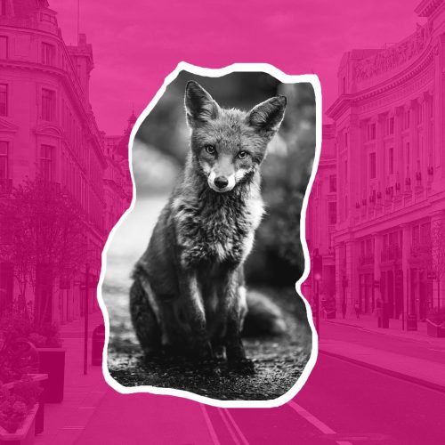 Présentation de la méthodologie de l’agence marketing digitale